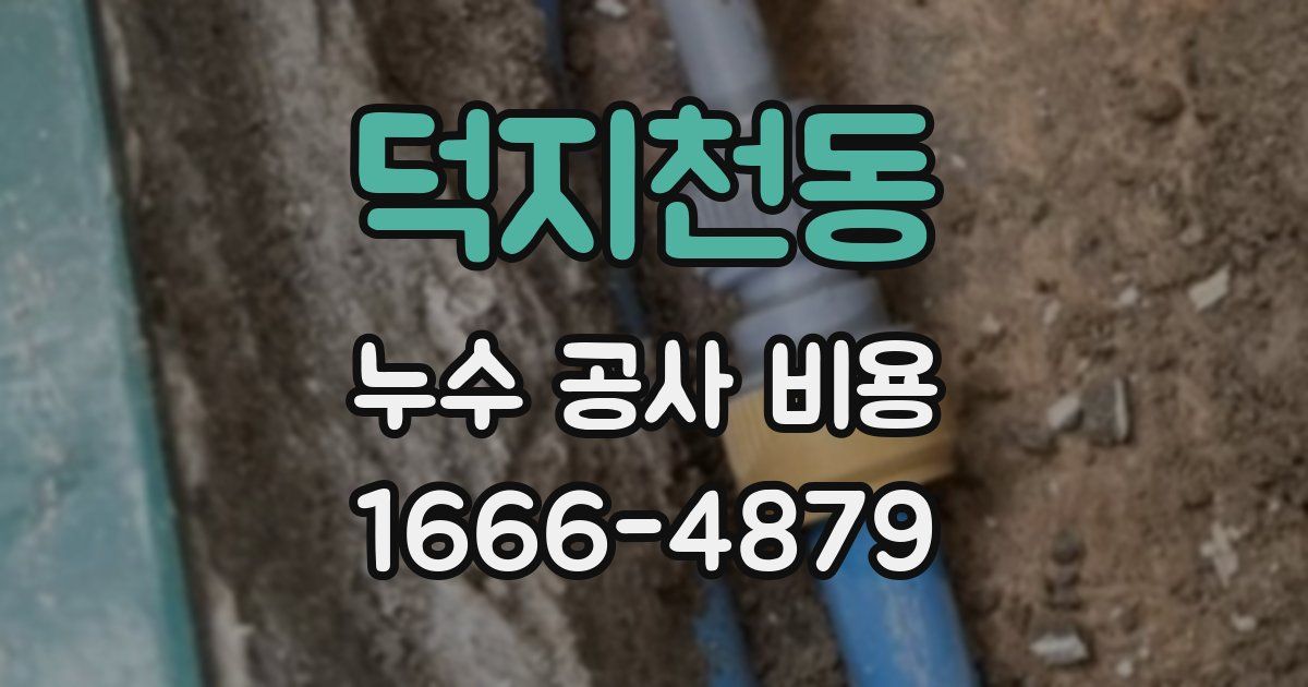 덕지천동 누수 공사 비용