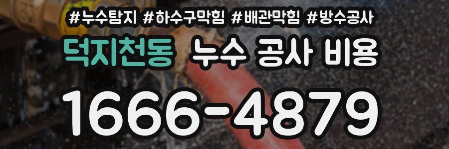 덕지천동 누수 공사 비용