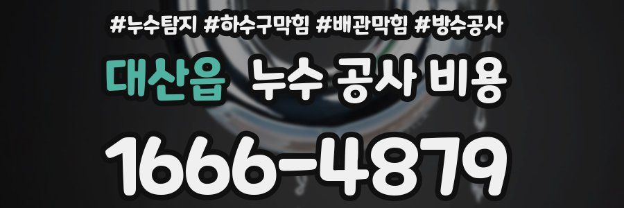 대산읍 누수 공사 비용