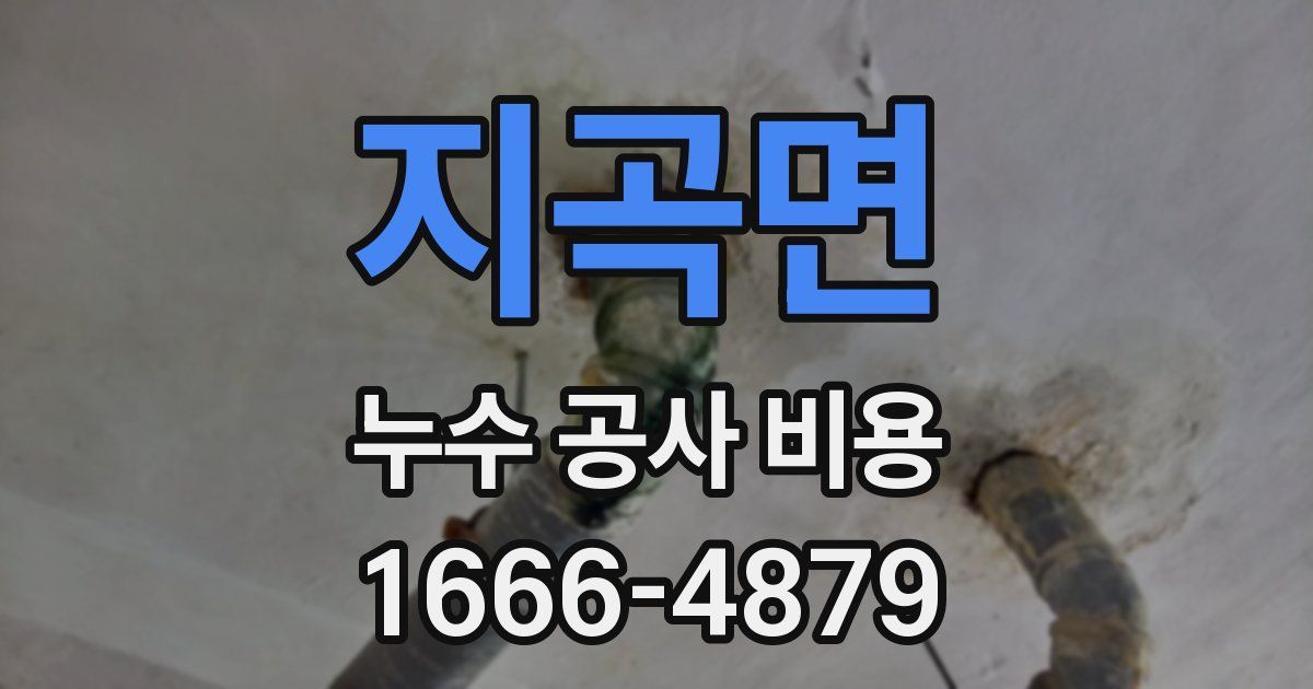 지곡면 누수 공사 비용