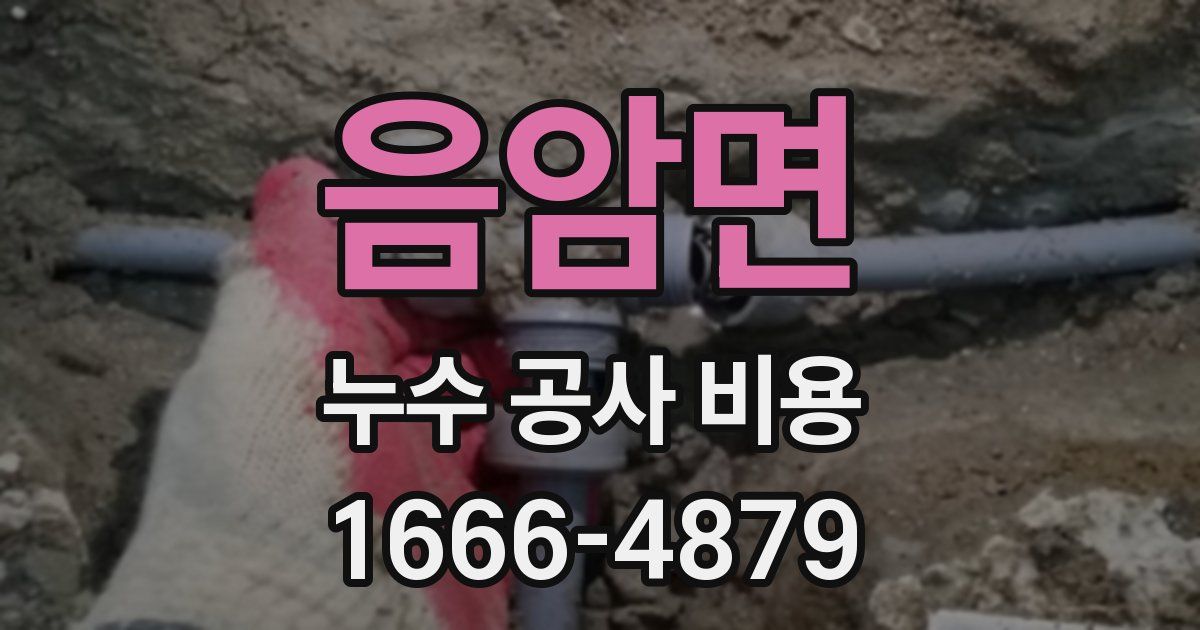 음암면 누수 공사 비용