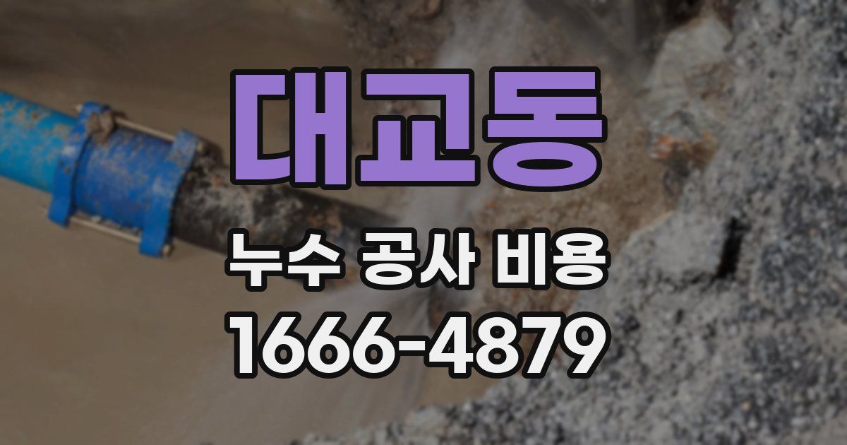 대교동 누수 공사 비용