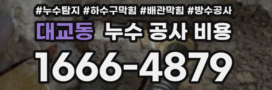 대교동 누수 공사 비용