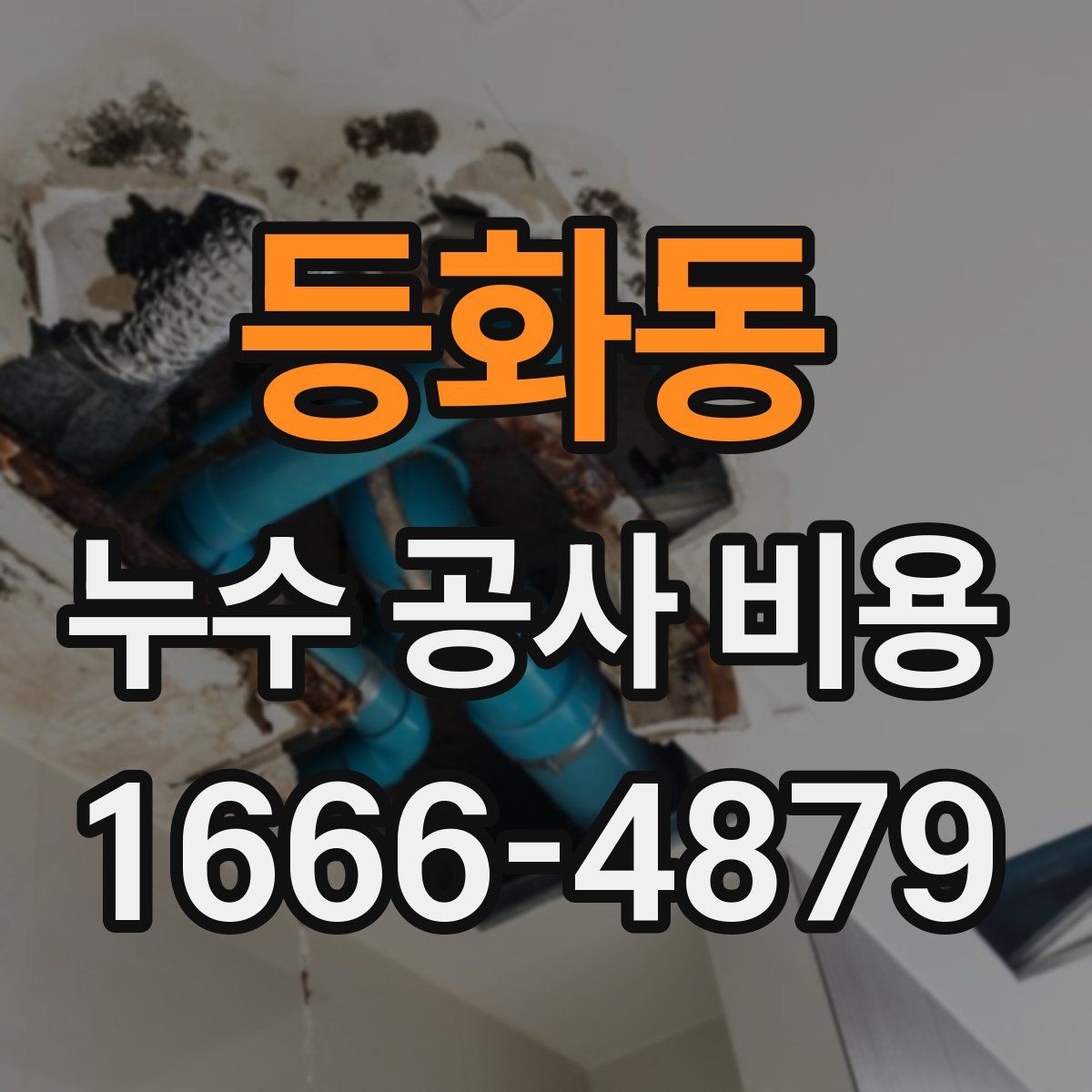 등화동 누수 공사 비용