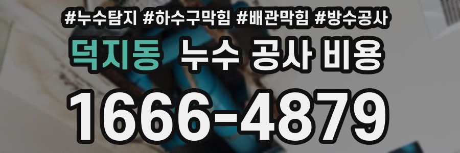 덕지동 누수 공사 비용