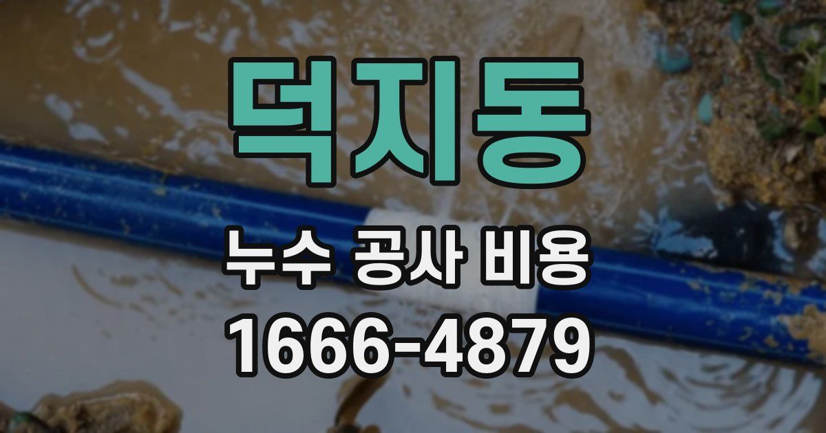 덕지동 누수 공사 비용