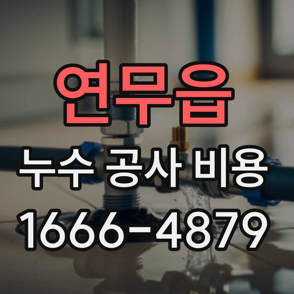 연무읍 누수 공사 비용