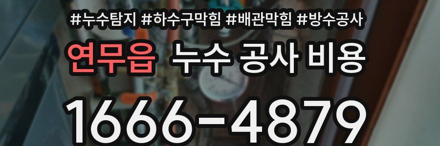 연무읍 누수 공사 비용