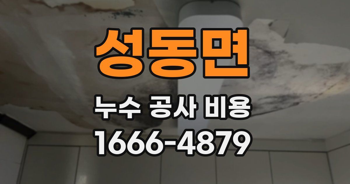 성동면 누수 공사 비용