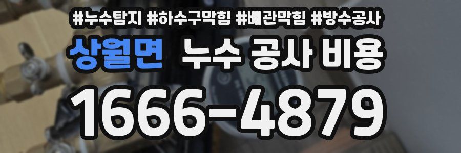 상월면 누수 공사 비용