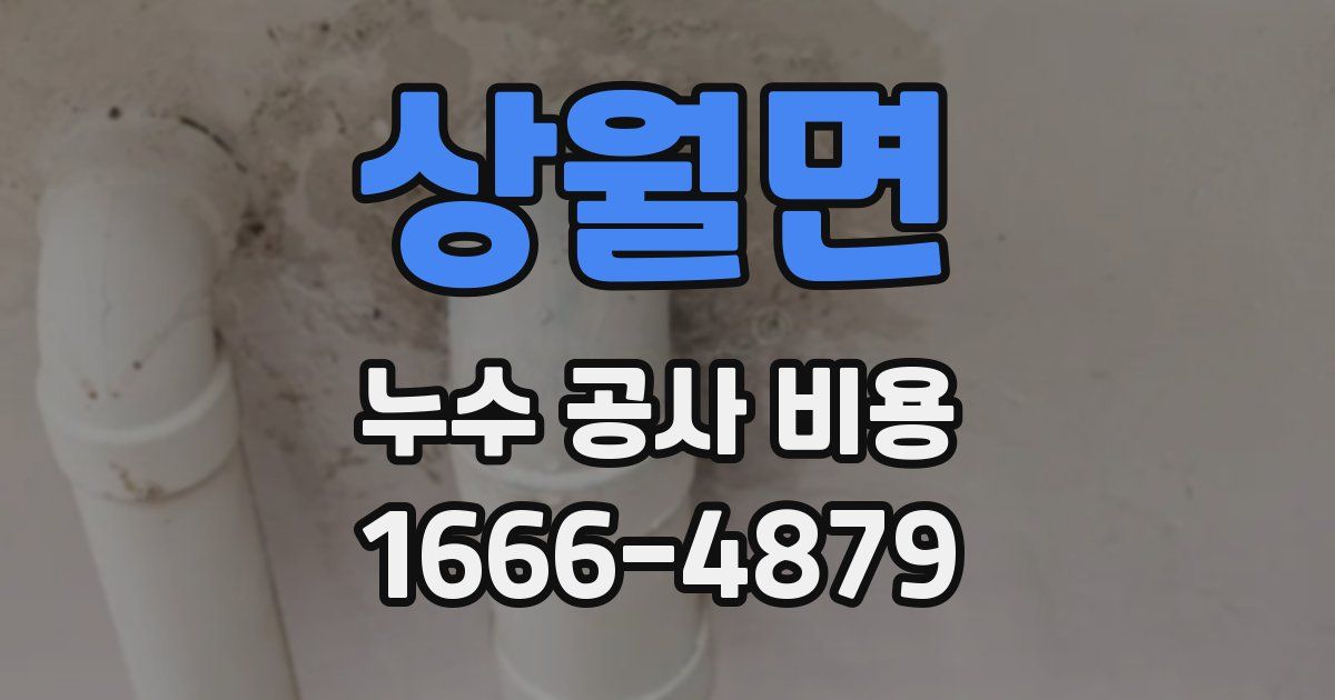 상월면 누수 공사 비용
