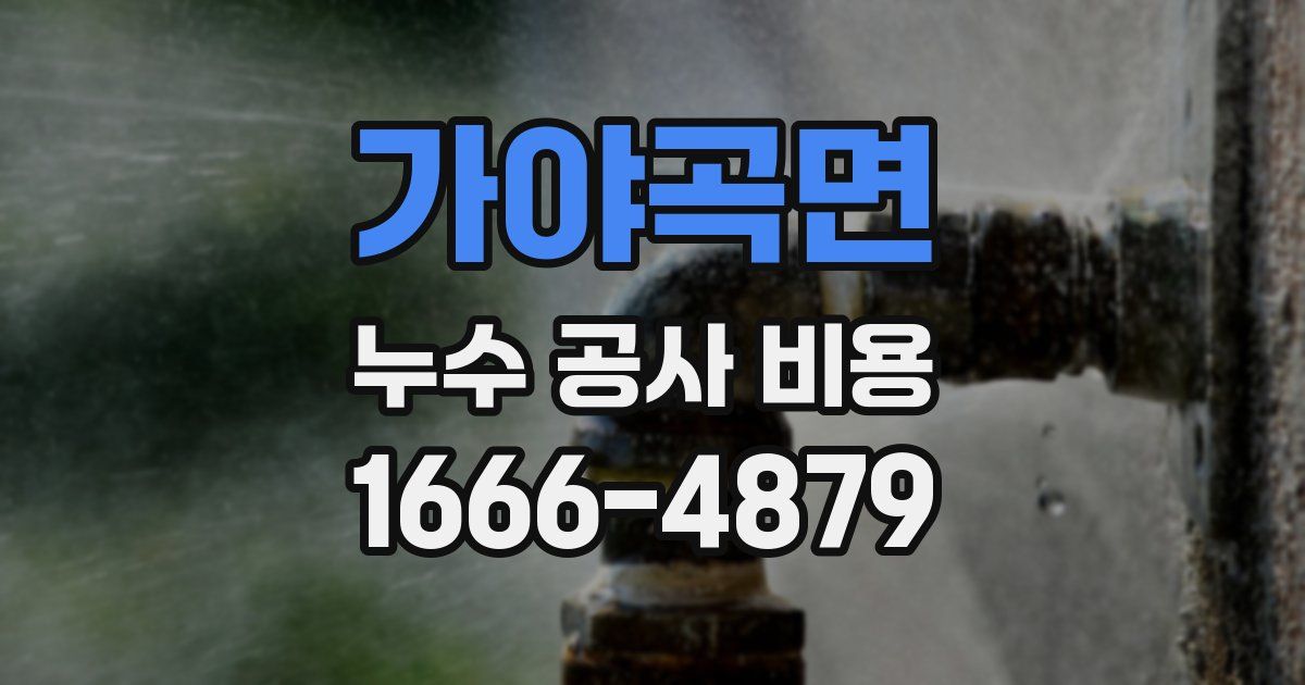 가야곡면 누수 공사 비용