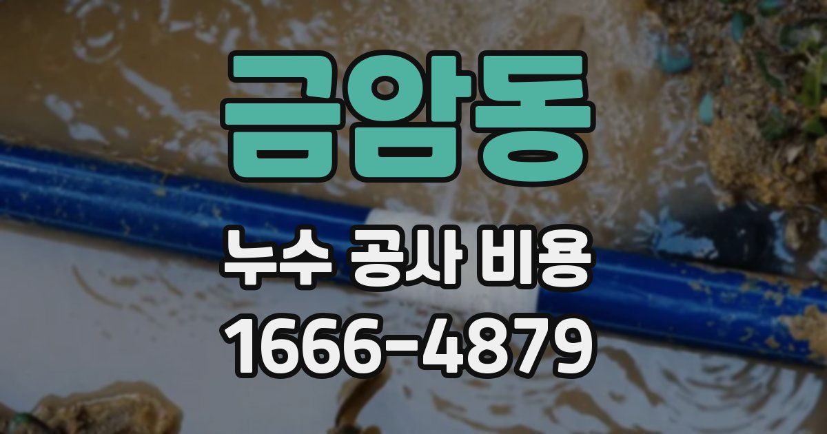 금암동 누수 공사 비용