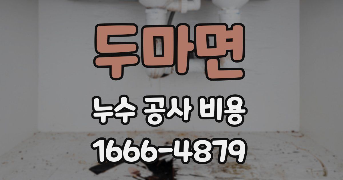 두마면 누수 공사 비용