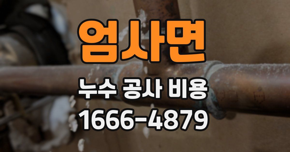 엄사면 누수 공사 비용