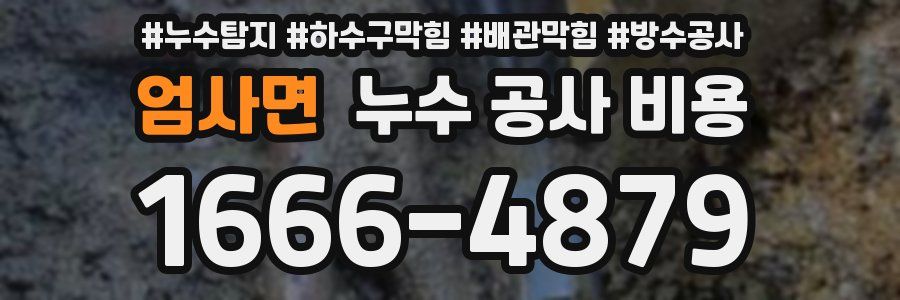 엄사면 누수 공사 비용