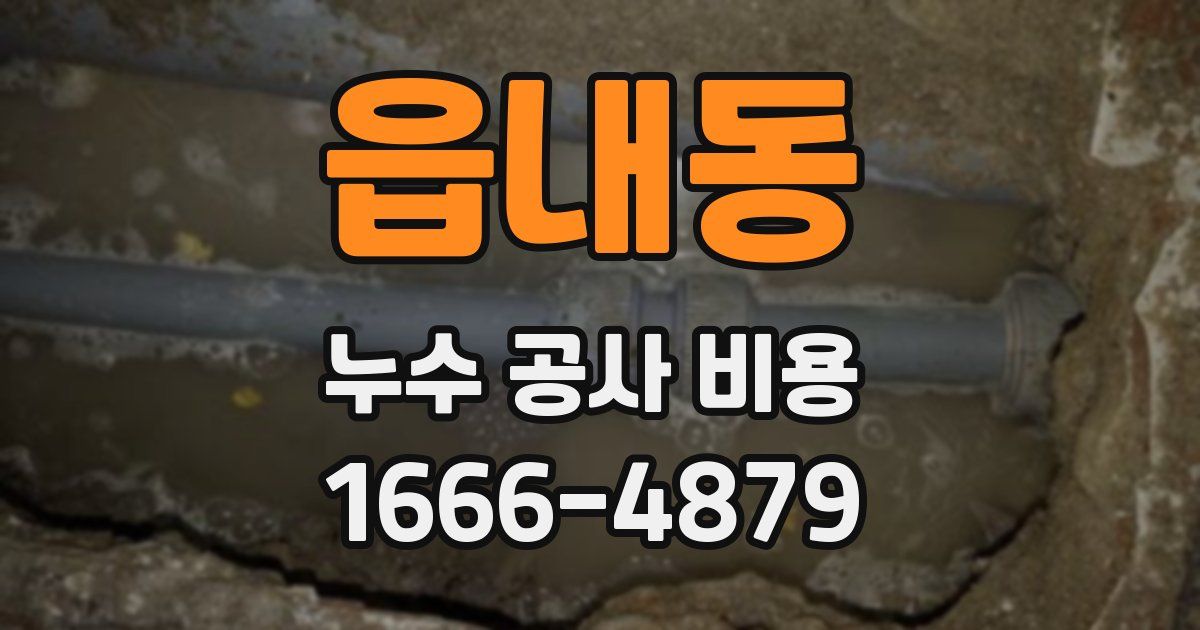 읍내동 누수 공사 비용