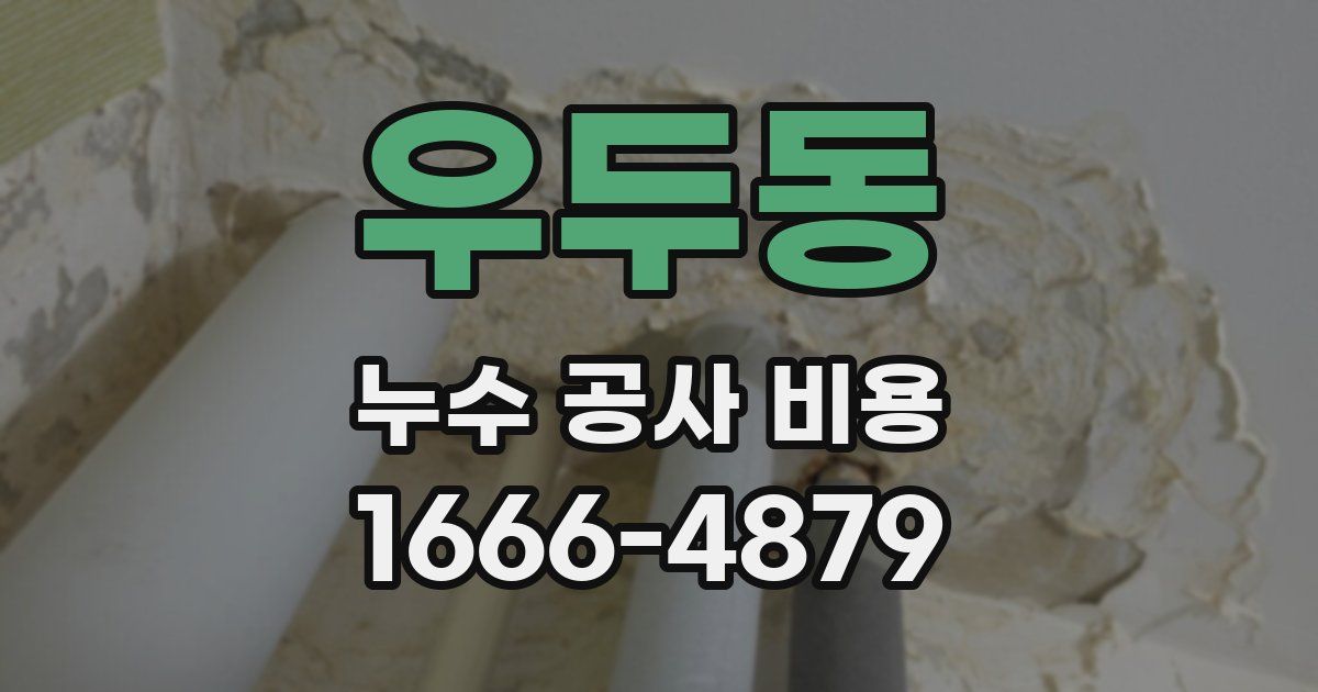 우두동 누수 공사 비용