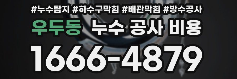 우두동 누수 공사 비용