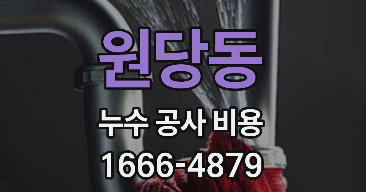 원당동 누수 공사 비용