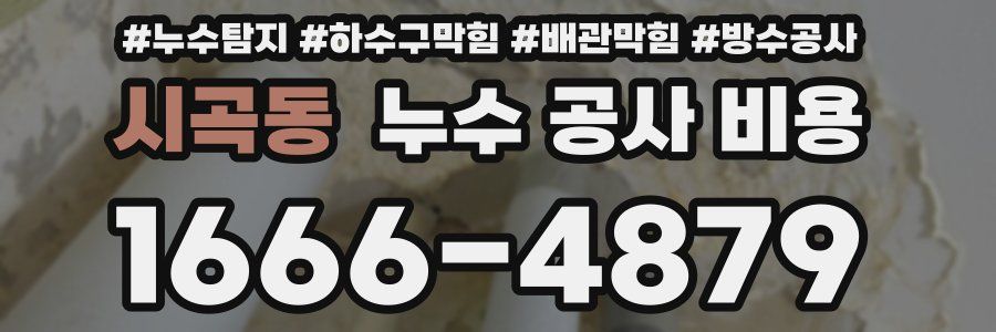 시곡동 누수 공사 비용