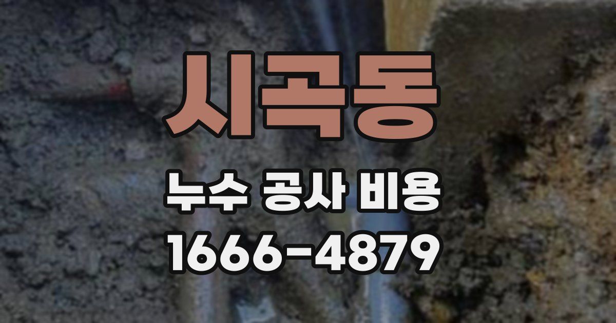 시곡동 누수 공사 비용