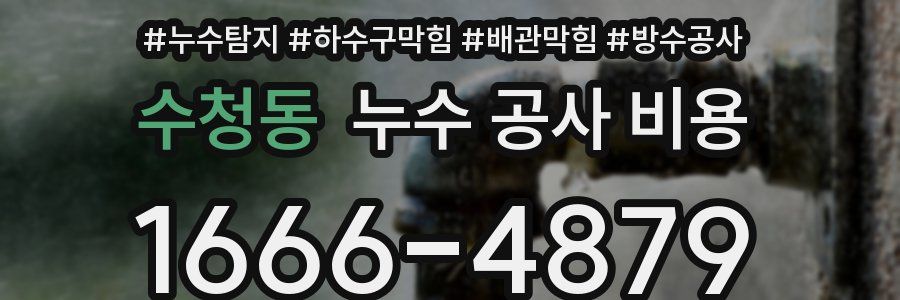 수청동 누수 공사 비용