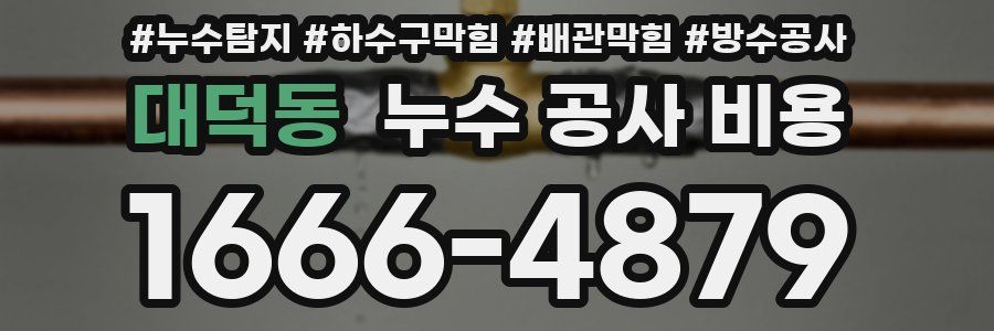 대덕동 누수 공사 비용