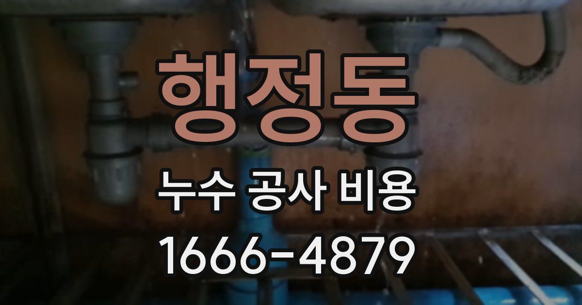 행정동 누수 공사 비용