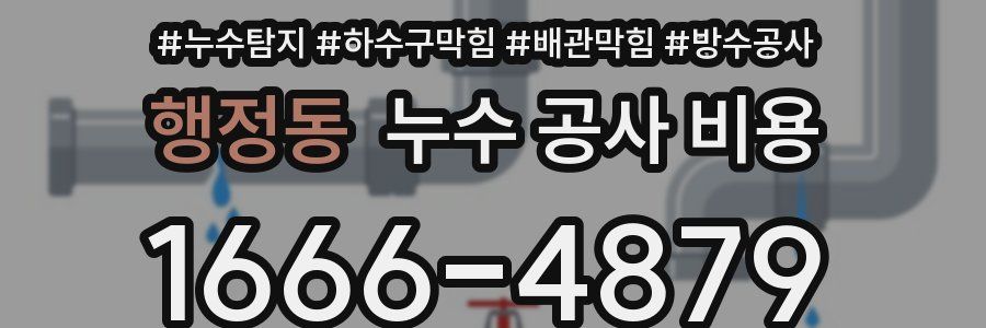 행정동 누수 공사 비용