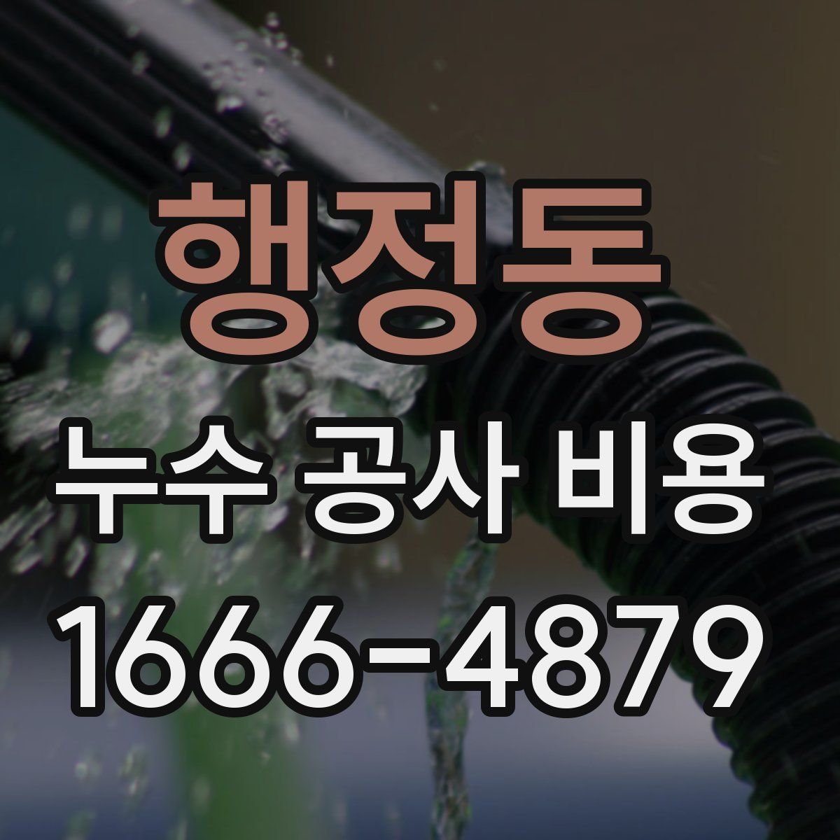 행정동 누수 공사 비용
