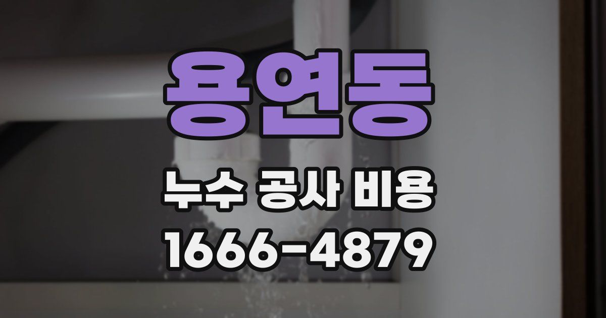 용연동 누수 공사 비용