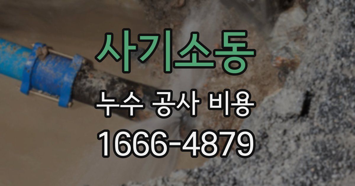 사기소동 누수 공사 비용