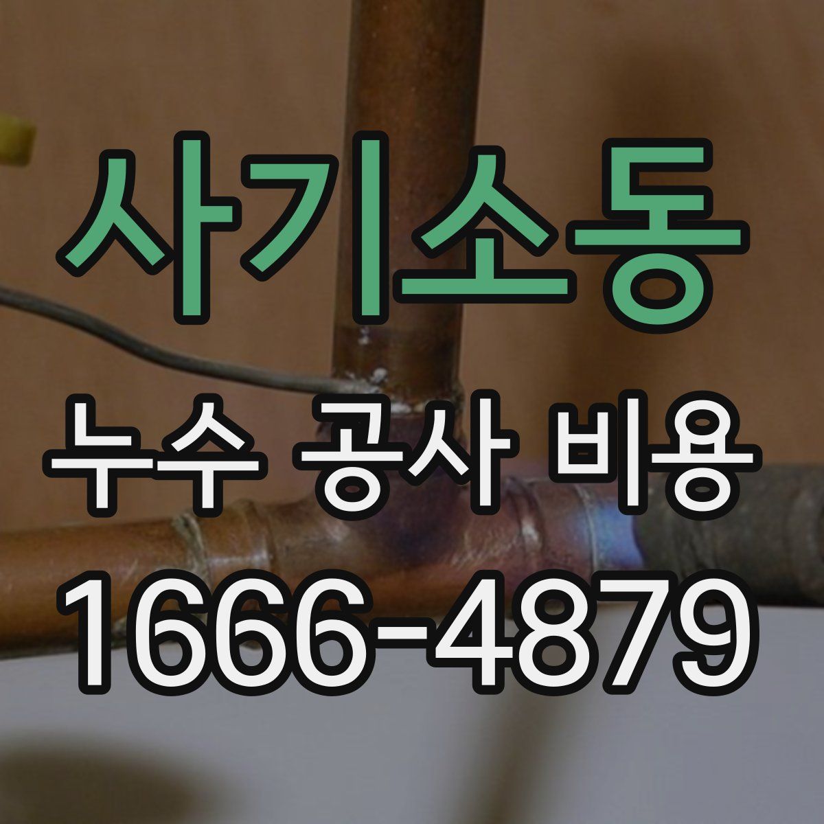 사기소동 누수 공사 비용