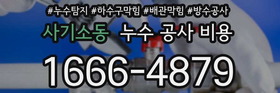 사기소동 누수 공사 비용