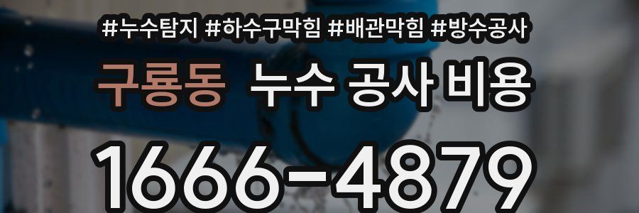 구룡동 누수 공사 비용