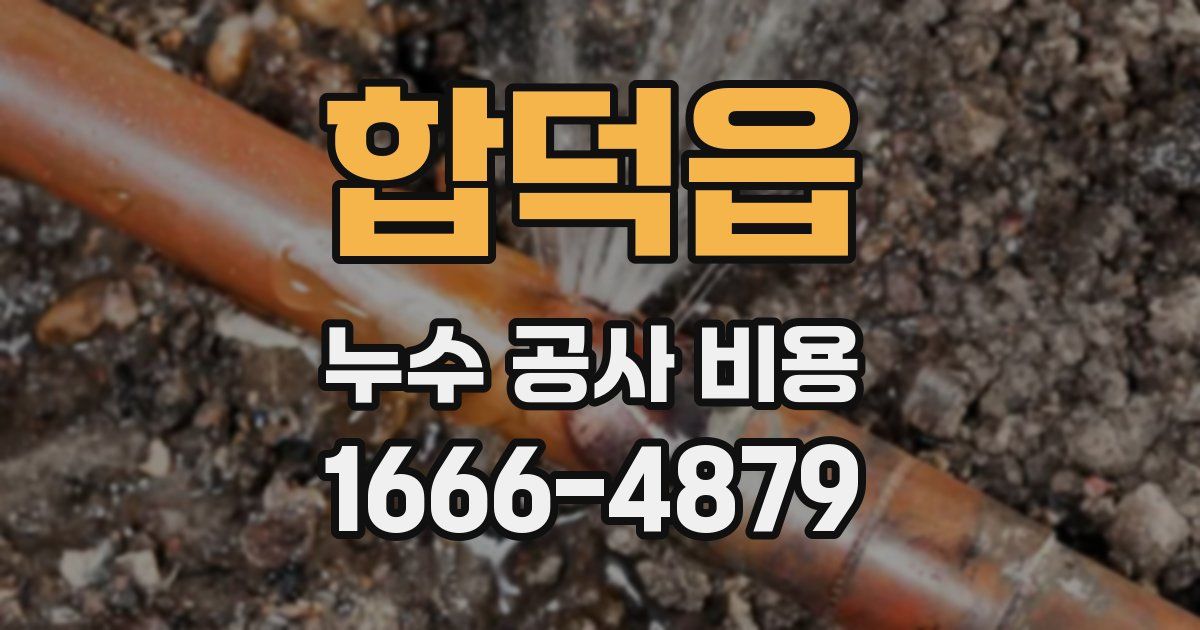 합덕읍 누수 공사 비용