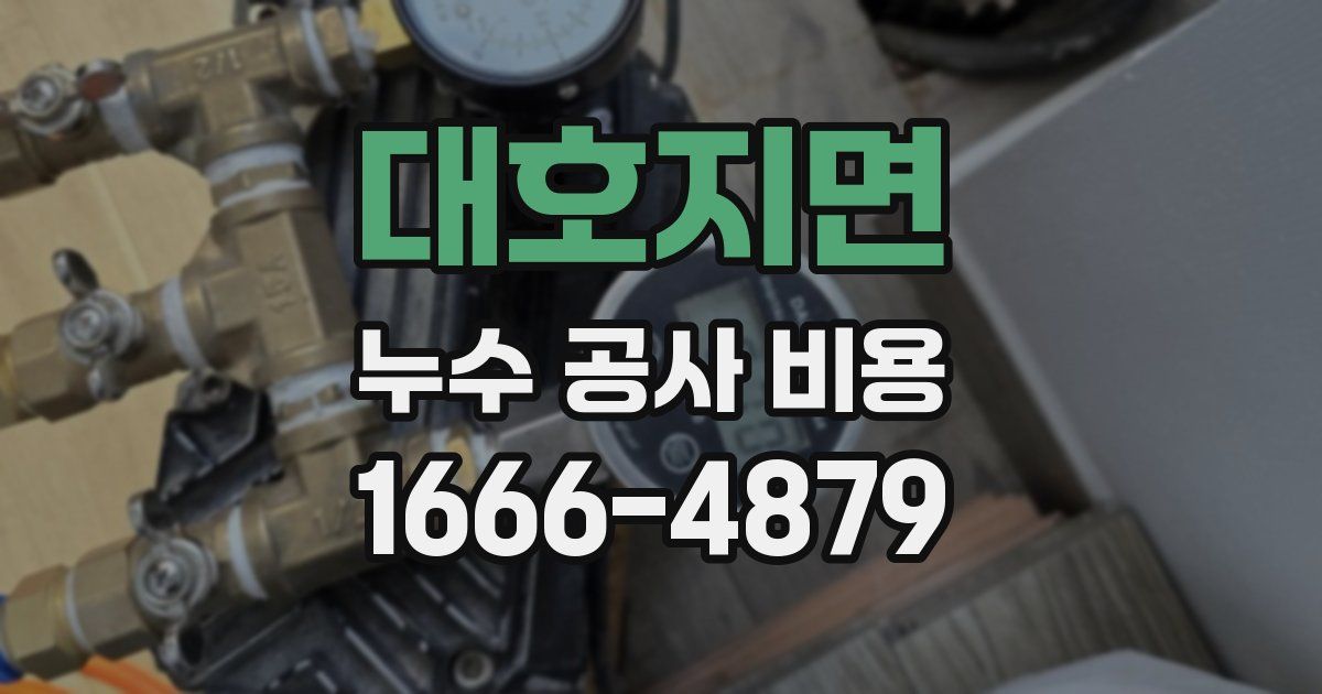 대호지면 누수 공사 비용