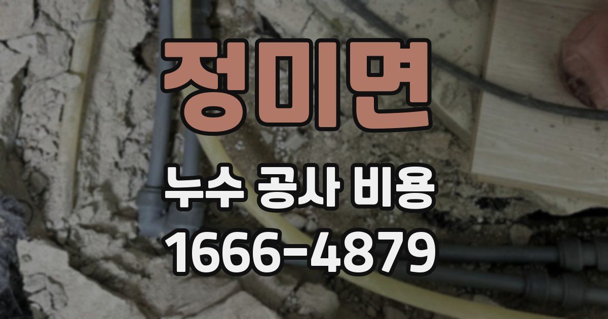 정미면 누수 공사 비용