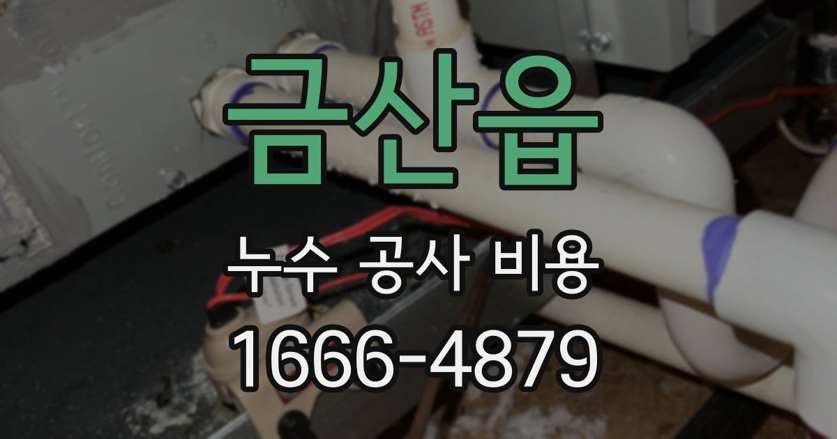 금산읍 누수 공사 비용