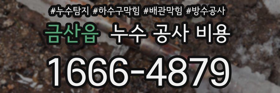 금산읍 누수 공사 비용