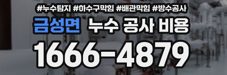 금성면 누수 공사 비용