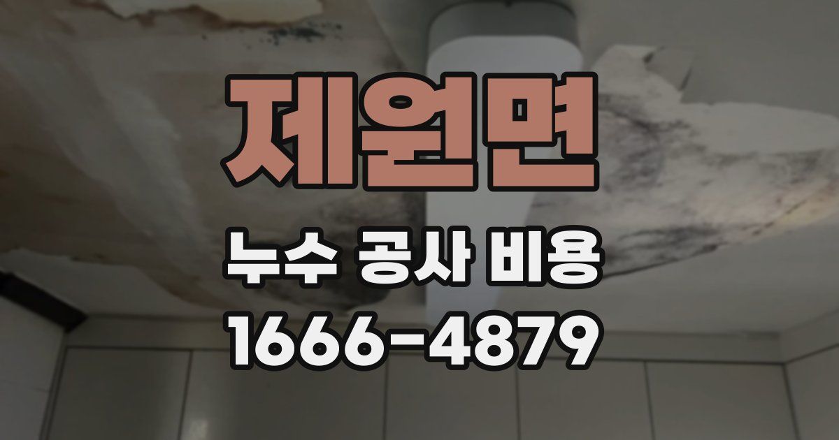 제원면 누수 공사 비용
