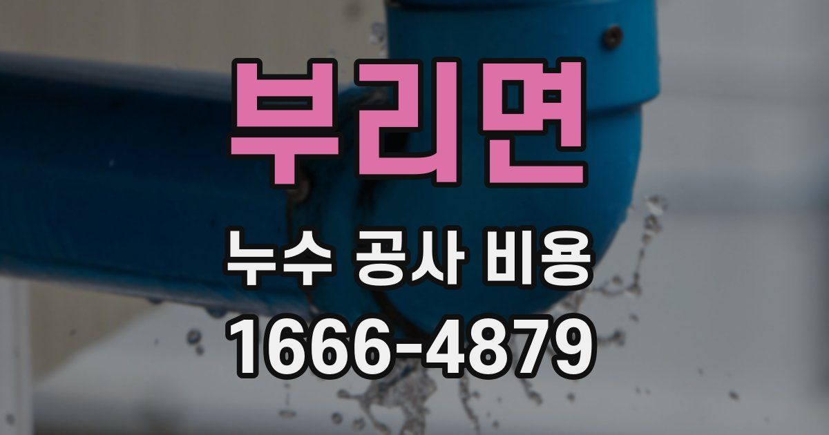 부리면 누수 공사 비용