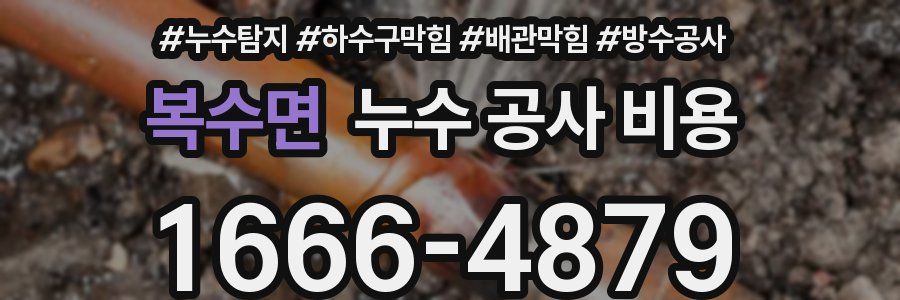 복수면 누수 공사 비용