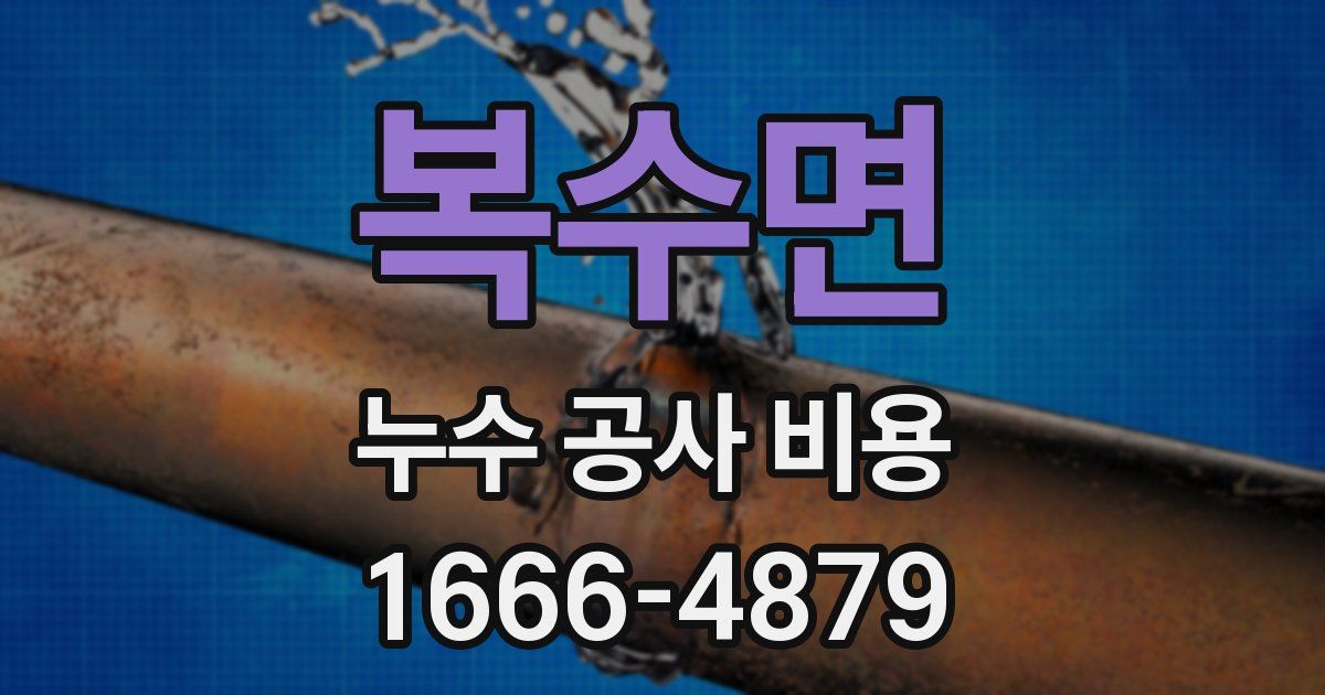 복수면 누수 공사 비용