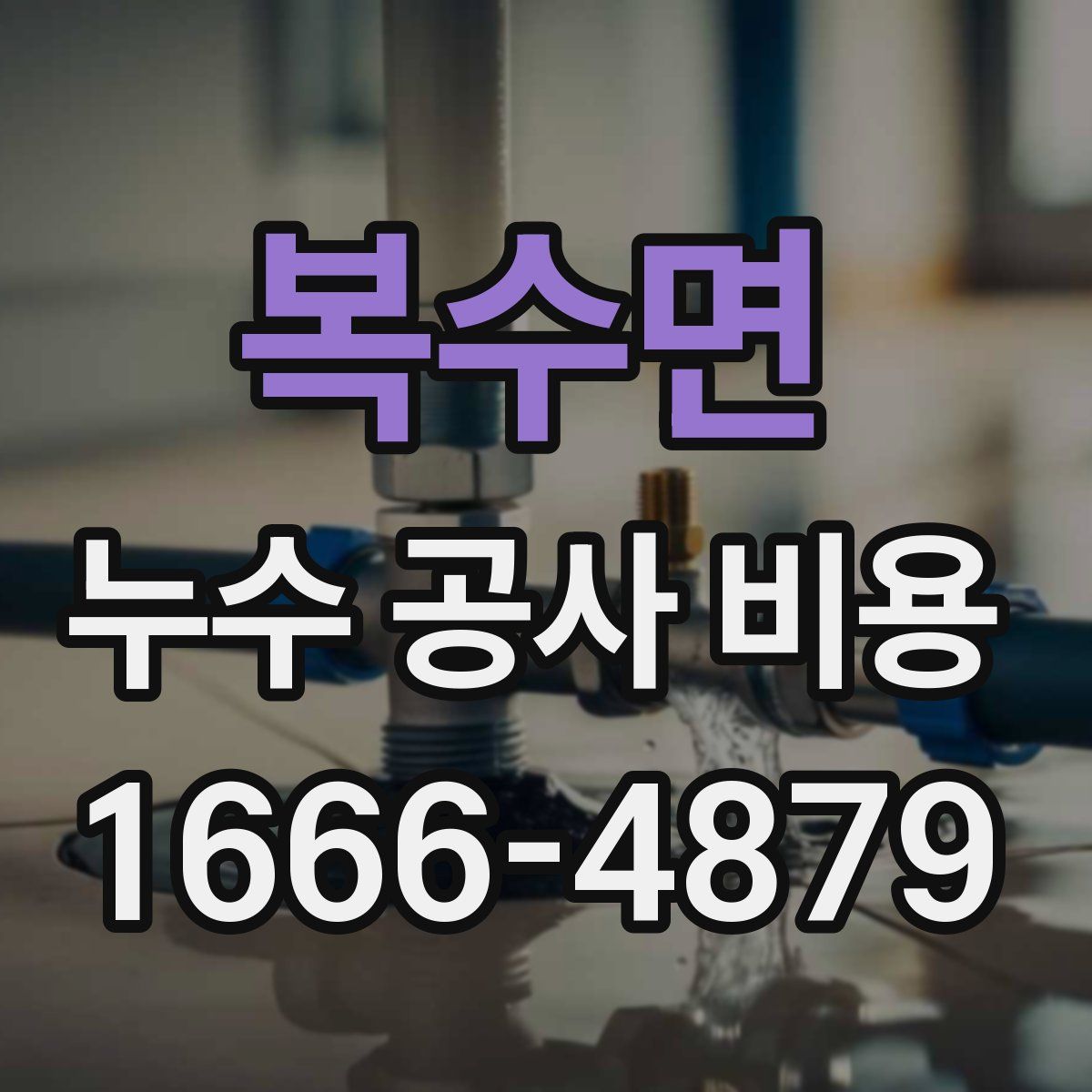 복수면 누수 공사 비용