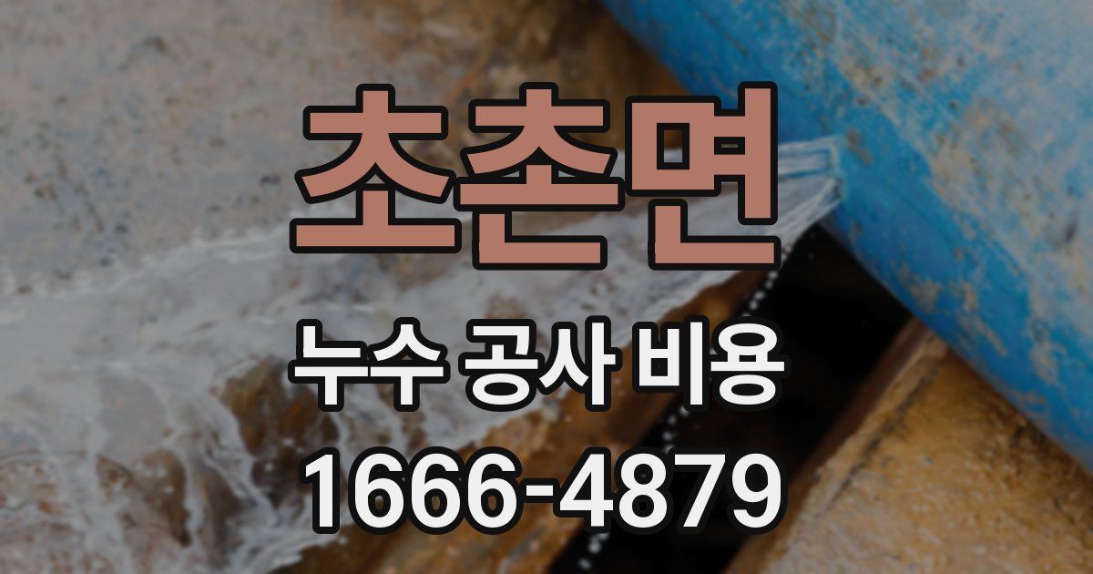 초촌면 누수 공사 비용