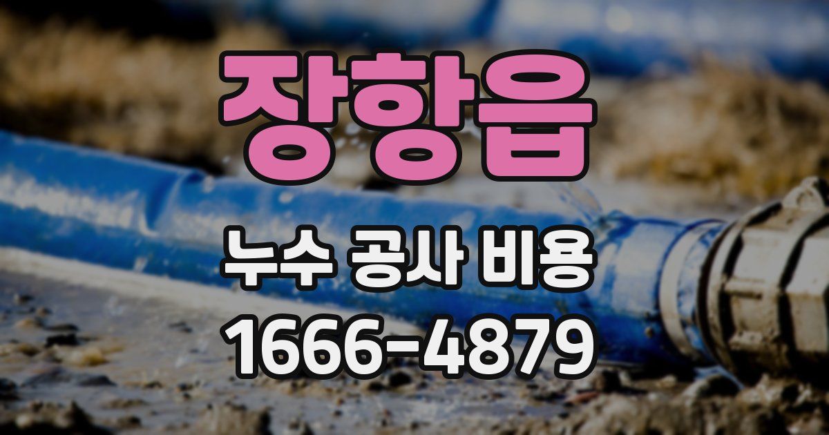 장항읍 누수 공사 비용