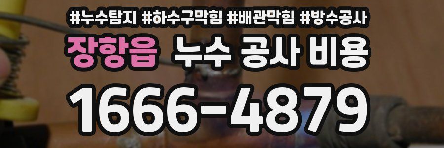장항읍 누수 공사 비용